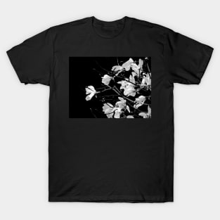 Black and White Magnolia Photography T-Shirt